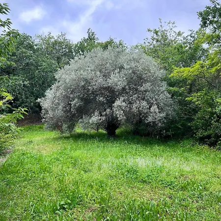 Quelquepart Au 2 Saint-Christol-de-Rodieres